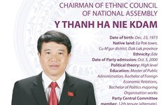 National Assembly elects Chairman of Ethnic Council