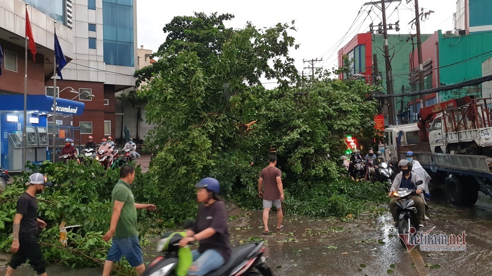 Mưa ngập đổ cây trong đêm, sáng ra đường kẹt cứng