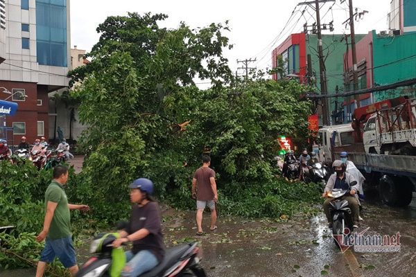 Dự báo thời tiết 17/4: Miền Bắc lạnh và mưa, Hà Nội đề phòng giông lốc