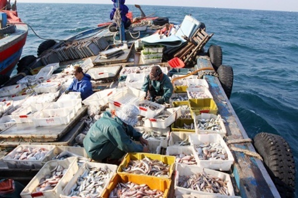 Quy hoạch không gian biển, thúc đẩy phát triển bền vững