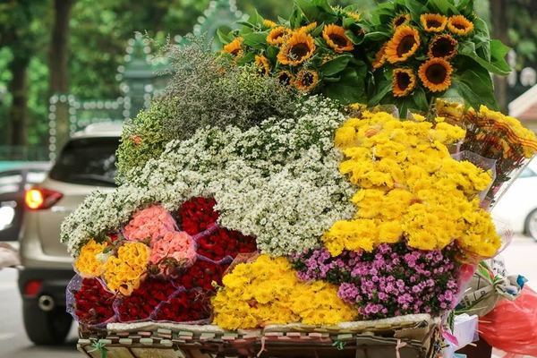 Tại sao phải vào TP.HCM sống khi Hà Nội đã quá đủ tuyệt vời?