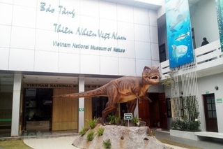 VN National Museum of Nature - ideal destination for nature lovers and researchers