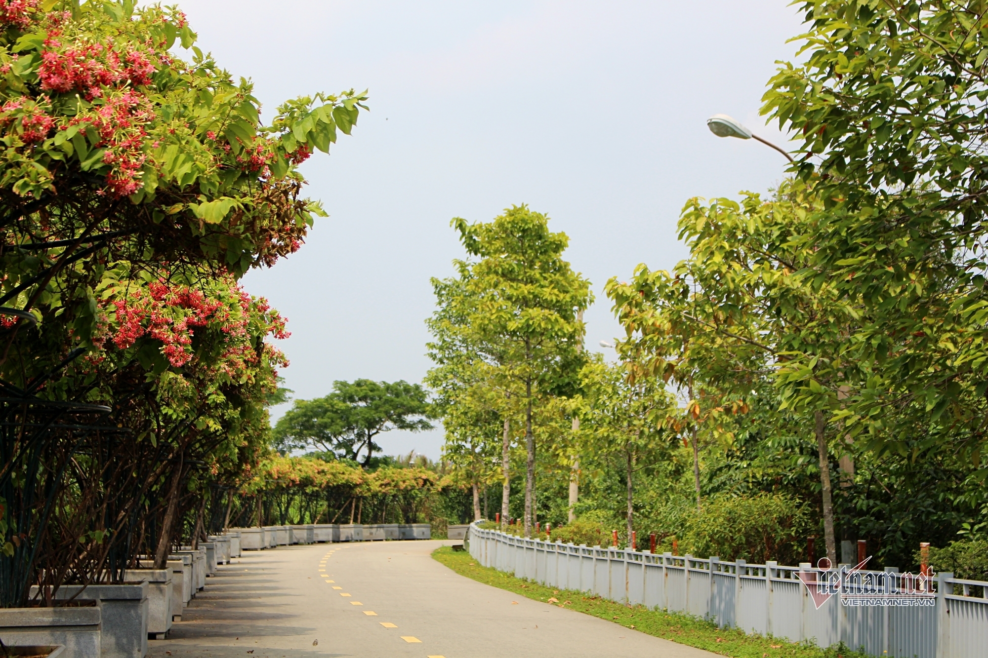 Young people flock to new park in HCM City