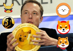 Cha đẻ Dogecoin: 'Elon Musk là kẻ chỉ biết quan tâm tới bản thân'