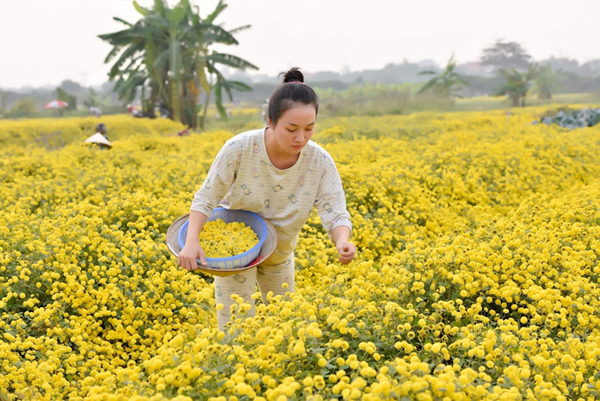 ‘Nàng thơ’ Nam Định truyền cảm hứng làm đẹp từ thiên nhiên