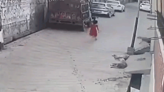 Kinh hoàng cảnh bé gái bị cả bầy chó dữ tấn công