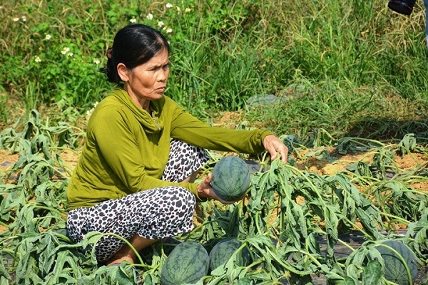 vietnamnet.vn