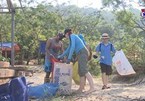 Expats join local people to clean up coastal city