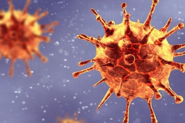 80% bệnh nhân Covid-19 về từ Campuchia mang biến thể Anh