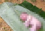 Thi thể bé sơ sinh trôi dạt trên sông ở Hà Tĩnh