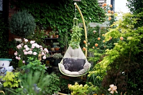 Mẹ cùng con gái biến sân thượng thành thiên đường trăm loài hoa