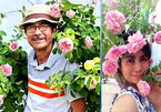 Người đàn ông trồng 100 chậu hoa hồng trên mái tôn để tặng vợ