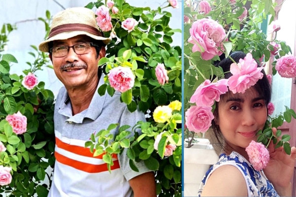 Người đàn ông trồng 100 chậu hoa hồng trên mái tôn để tặng vợ