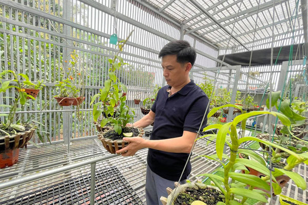 Cơ duyên bất ngờ với hoa của ông chủ vườn lan Phú Thọ