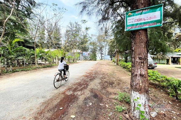 ‘Quay cuồng’ trong sốt đất, Cần Giờ cấm công chức môi giới đất đai