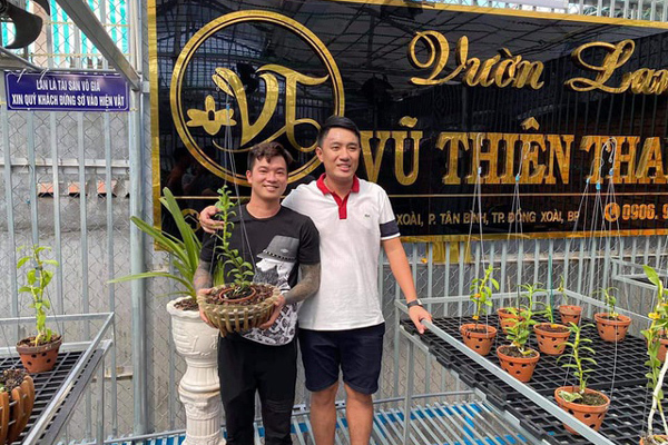 Ông chủ vườn lan Bình Phước chia sẻ kỹ thuật chăm sóc loài hoa ‘kiêu kỳ’