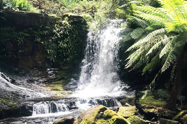 'Nhà vợ giàu thì hãy gửi thêm tiền về'