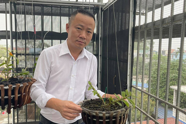 Cơ duyên của ông chủ salon tóc với loài hoa ‘vương giả’