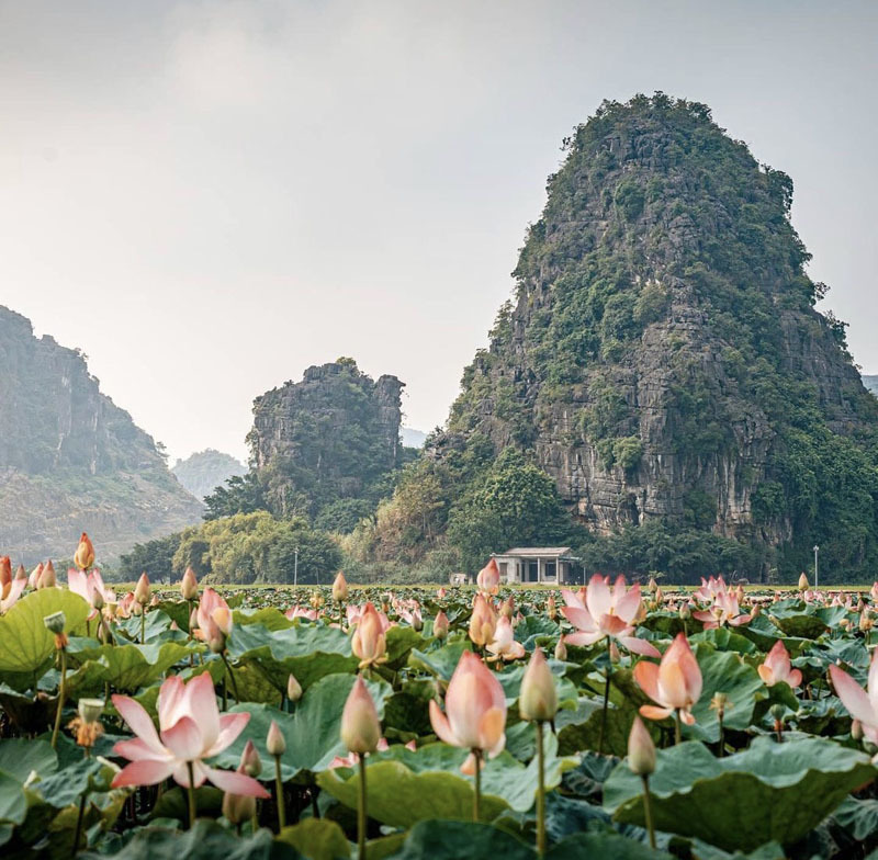 Ba địa điểm đẹp nhất Ninh Bình hút giới trẻ