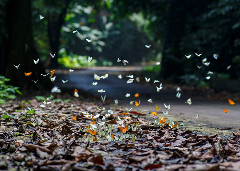 Điểm xét nghiệm Covid