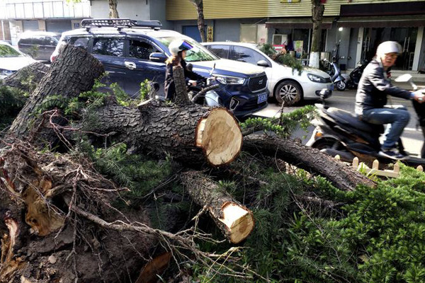 Bão lớn tại Trung Quốc, hơn trăm người thương vong
