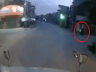Phanh ‘cháy lốp’, tài xế container cứu sống 2 người đi xe máy tự ngã