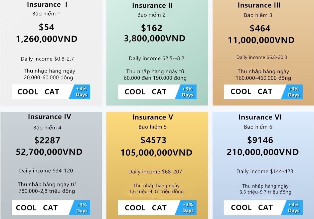 Coolcat trading floor collapses, more than VND200 billion vanishes