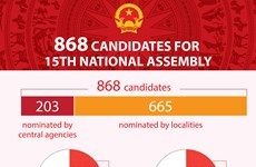 868 candidates for 15th National Assembly