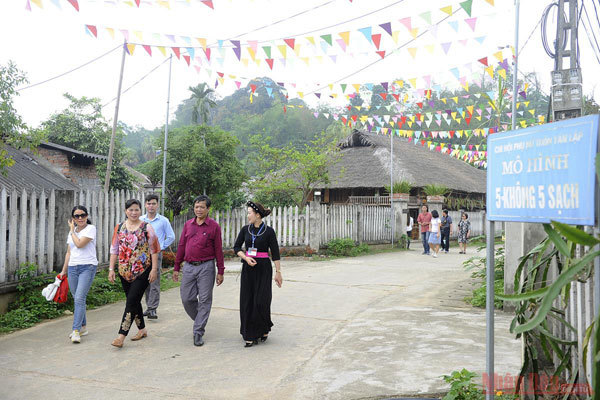 Tan Trao relic site brilliant with lim vang flowers