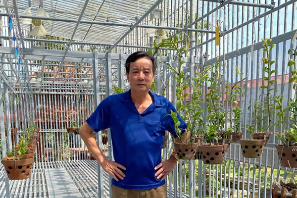 Ông chủ vườn lan tại Hải Dương chỉ cách xử lý sâu bệnh hoa lan