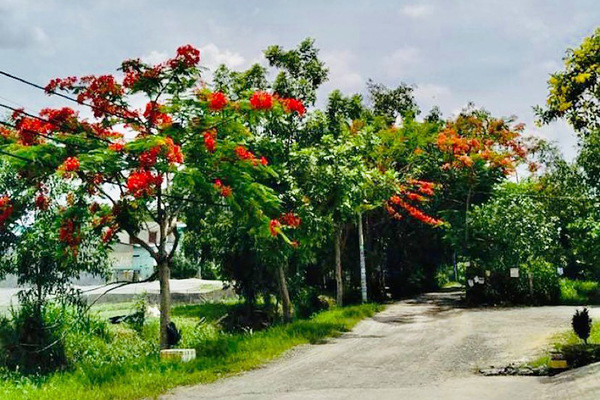 Chồng mỉa mai: 'Rời tôi ra cô làm sao sống nổi'