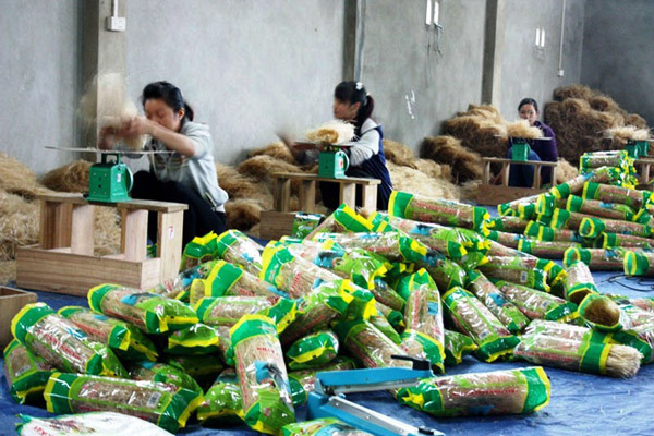 Đứng thứ 2 cả nước về số lượng, Bắc Kạn quyết nâng hạng sản phẩm OCOP