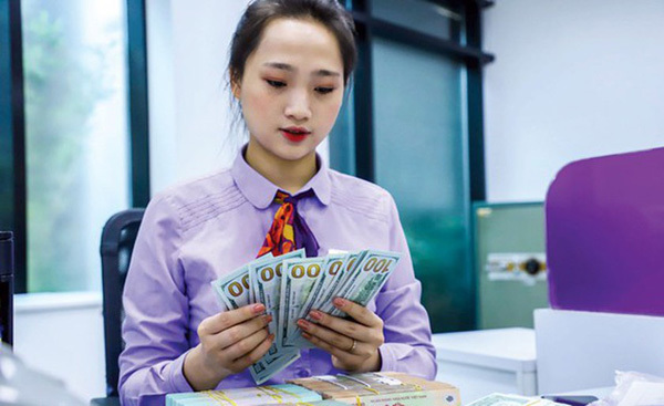 Vietnam seeks avoidance as currency manipulator in future