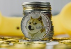 'Hãy cẩn thận khi đầu tư Dogecoin'