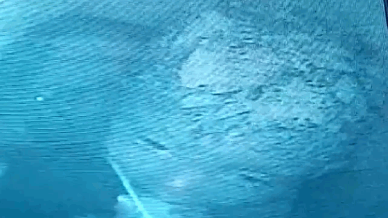 Em bé 4 tuổi rơi xuống giếng sâu gần 30m