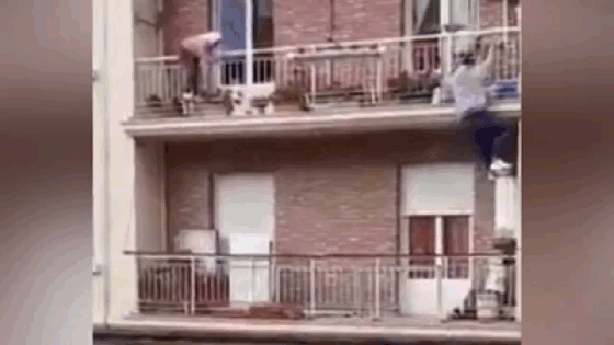 Phản ứng cực nhanh cứu cụ bà sắp ngã từ tầng 3