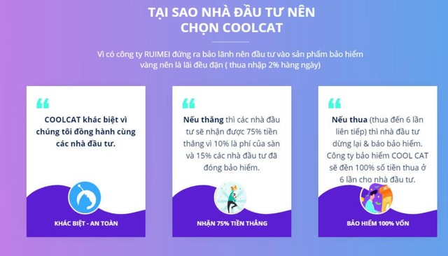 Mang cả gia tài đầu tư vào app, app tặng lại một khoản nợ khổng lồ