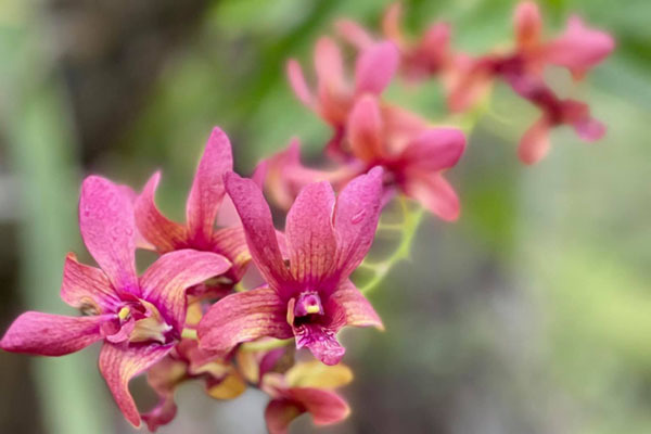 Mẹ chồng chơi lô đề, bắt gia đình tôi phải gánh nợ