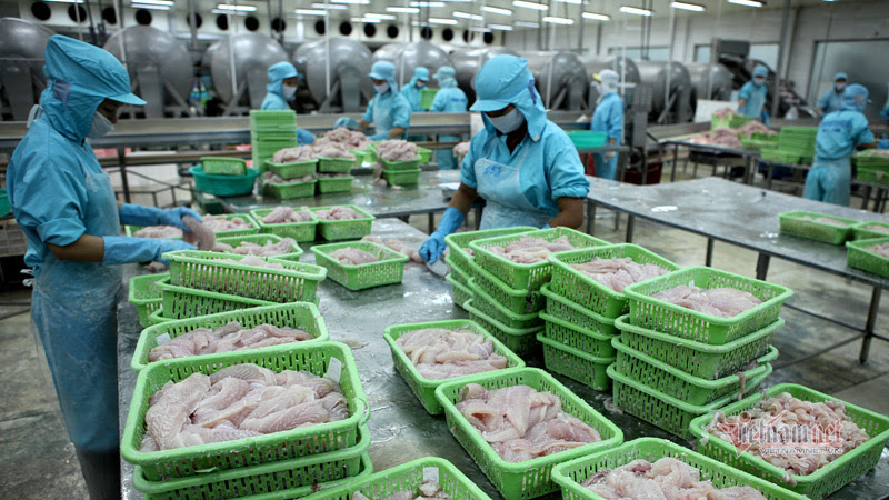 As rivals face 'bad luck', VN seafood exports could rise to Russia, the US