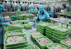 As rivals face 'bad luck', VN seafood exports could rise to Russia, the US