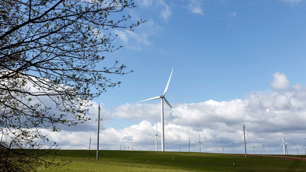 Foreign investors increase acquisitions of renewable energy projects in Vietnam