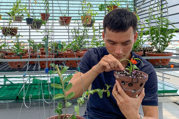 Ông chủ vườn lan Sài thành chia sẻ bí quyết khởi nghiệp