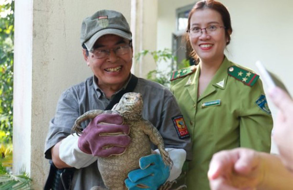 Wildlife violations reduced in Hue, Quang Nam and Da Nang
