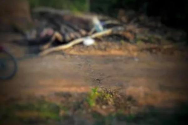 Thi thể người đàn ông cháy đen dưới chân núi Hà Tĩnh