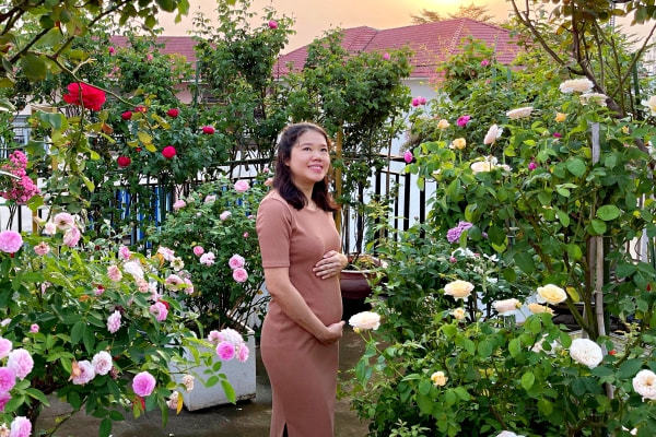 Mẹ bầu biến sân thượng thành vườn hồng rực rỡ giữa Sài thành