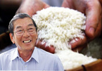 From humble start to world’s best rice