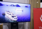 Television brands find Vietnamese market tough going