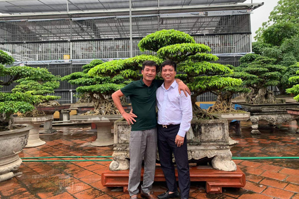Người ‘thổi hồn’ cho cây cảnh bonsai ở Bắc Giang