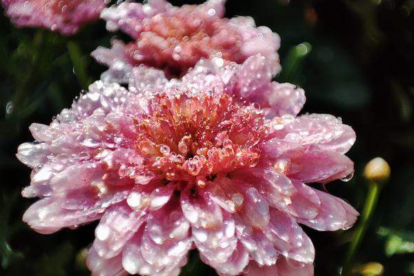 Tôi tóm được vợ ngoại tình với tay bạn chạy, đây không phải lần đầu