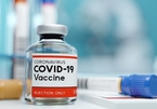 Việt Nam mong muốn các nước miễn trừ bản quyền vắc xin Covid-19